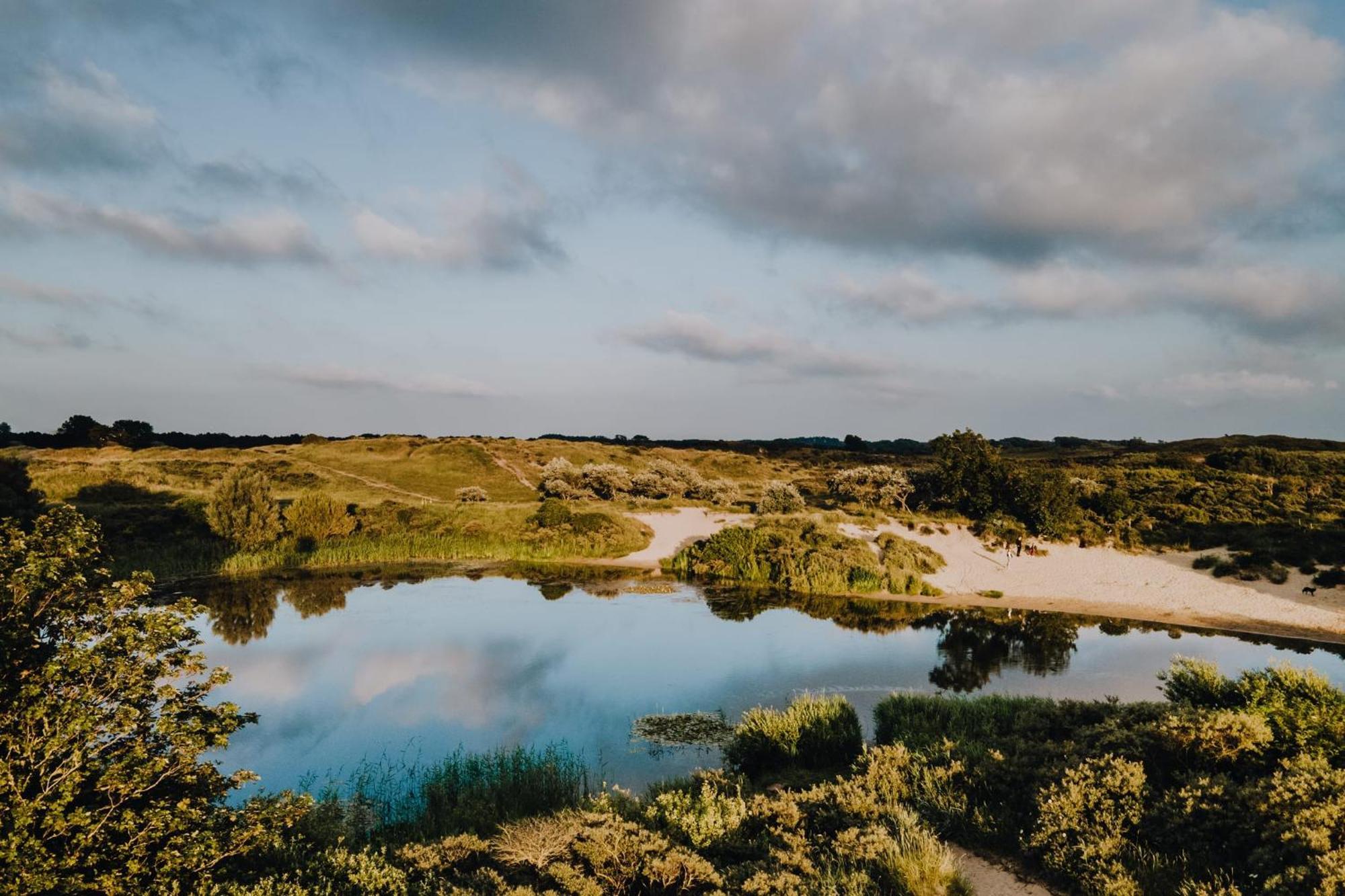 Zandkorrel Zandvoort
